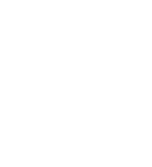 Asset 16