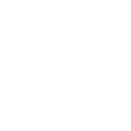 Asset 8